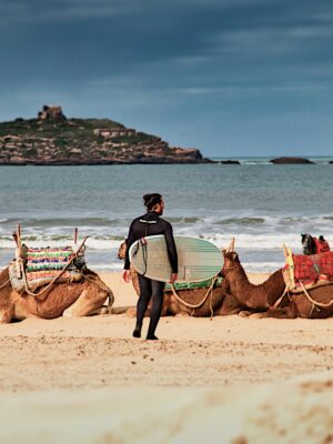 Essaouira Day Trip from Marrakech | Atlantic Coast & Medina Tour